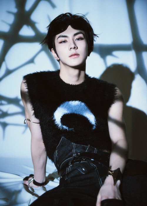 Screaming, Crying, Throwing Up, Ripping My Hair Out, Giggling, Literally Gnawing My Phone, Throwing My