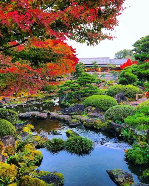 由志園 [ 島根県松江市 ] ③ Yushien Garden, Matsue, Shimane ーー門脇栄が作庭した山陰・島根を代表する日本庭園の一つ。春の“三万輪の池泉牡丹”や季節の庭園ライトアッ