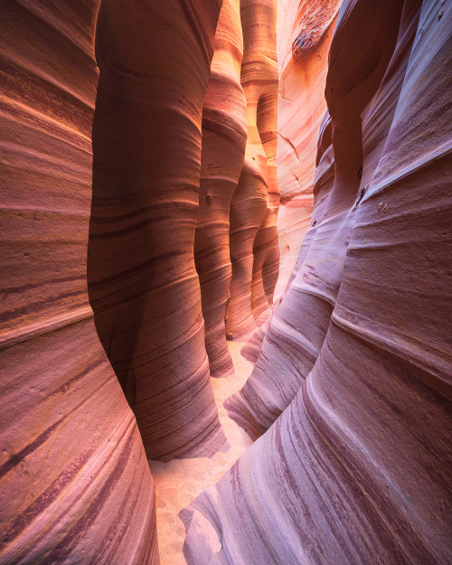 Beautifully colored slot canyon in Utah [OC] [1600x2000] by: mrcnzajac