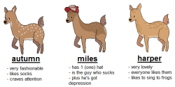 skyberia:  i made a tag yourself meme with small deer. i’m miles 