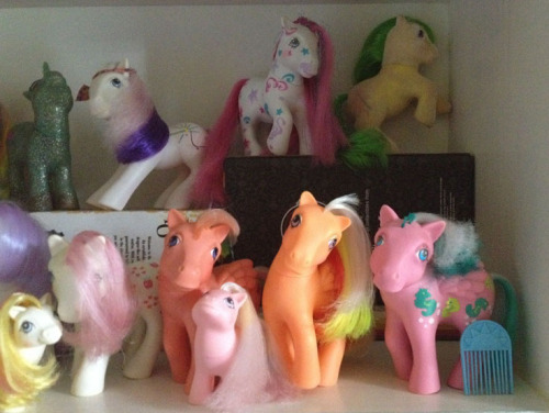 I decided to show off my collection again, as I had gotten some new ponies since I last showed it as