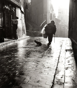  Early morning in Marseille. 1952. Photographer: