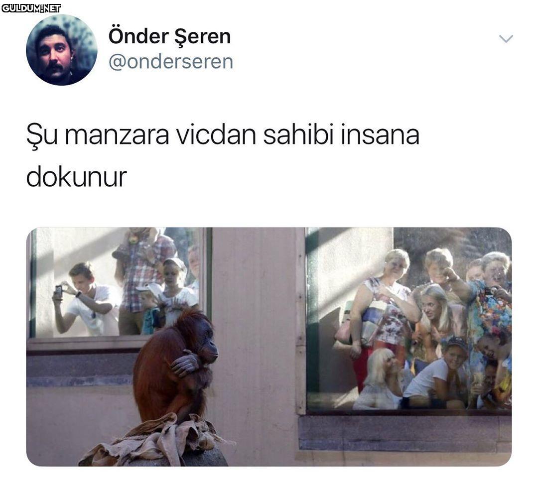 Önder Şeren @onderseren Şu...