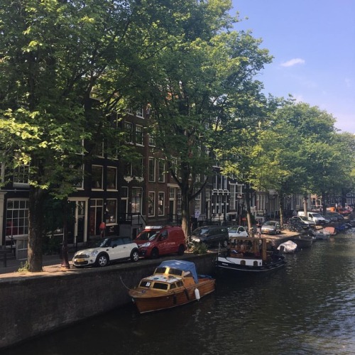Looking for shade in the heatwave. #amsterdam #amsterdamcity #amsterdamcanals #summerinamsterdam