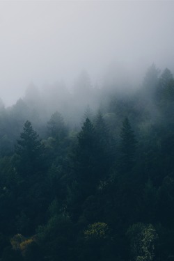 lvndscpe:  Skyline Boulevard, Los Gatos (US) | by Ethan Dow 