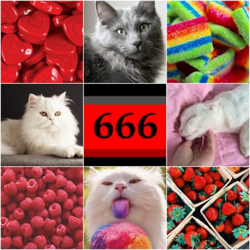 genderqueer-dream: 666gender with cat and sweet food themes!
