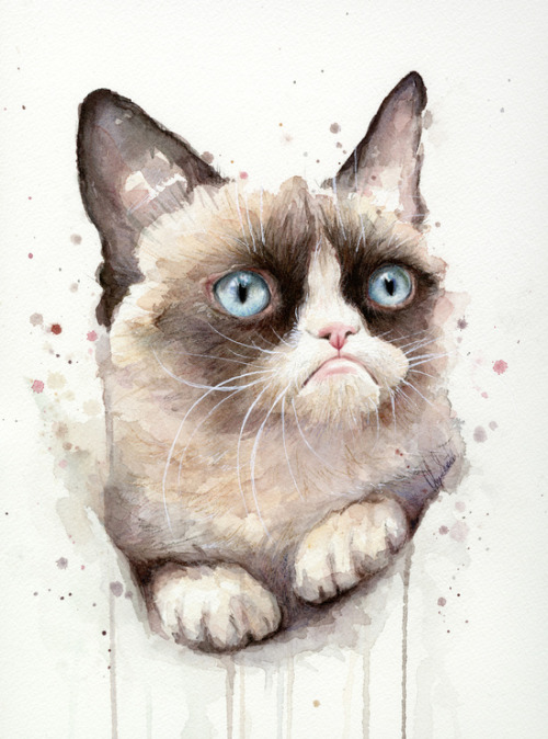 Grumpy cat twinkle little star