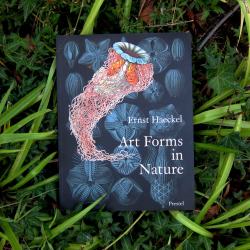 jtotheizzoe:  winkbooks:  Art Forms in Nature