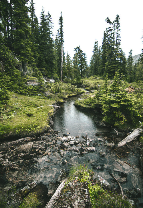 Creek by Graham Spencer // Mines of the West