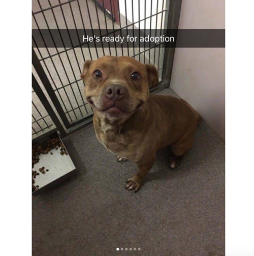 babyanimalgifs:Animal snaps
