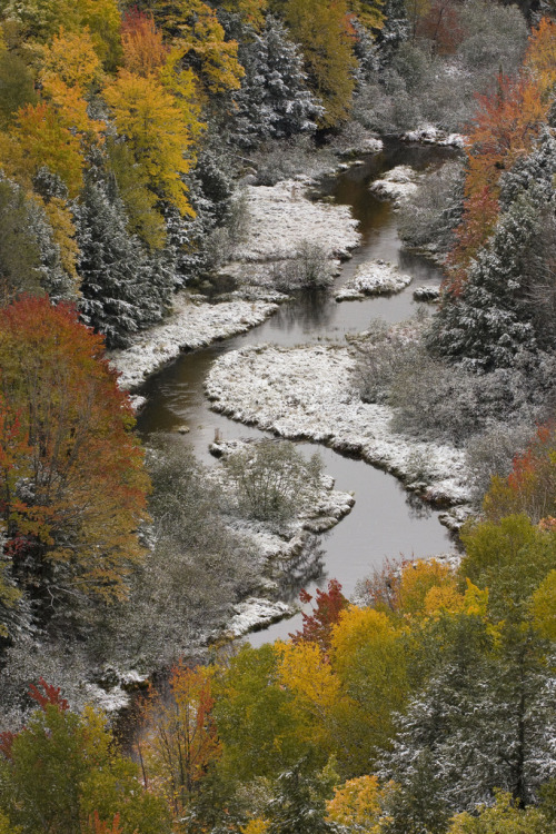 woodendreams:  (by posthumus_cake)