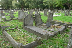 hexenauge:  Tottenham cemetery- My idea of