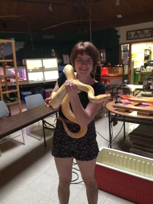 xenondifluoridecb:vampireapologist:the-confused-indian:vampireapologist:Here are some snakes I’ve me