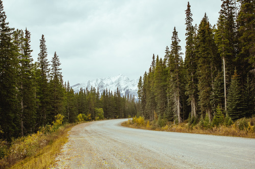k0asts:  chrisamat:  Kananaskis, AB  ~