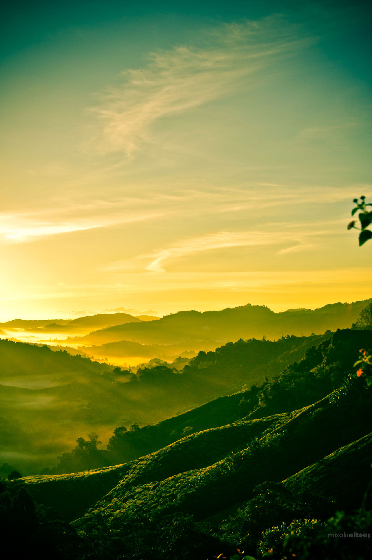 land-city:  Valle De Oro by Michalis Altous | Flickr Cameron Highlands, Pahang,