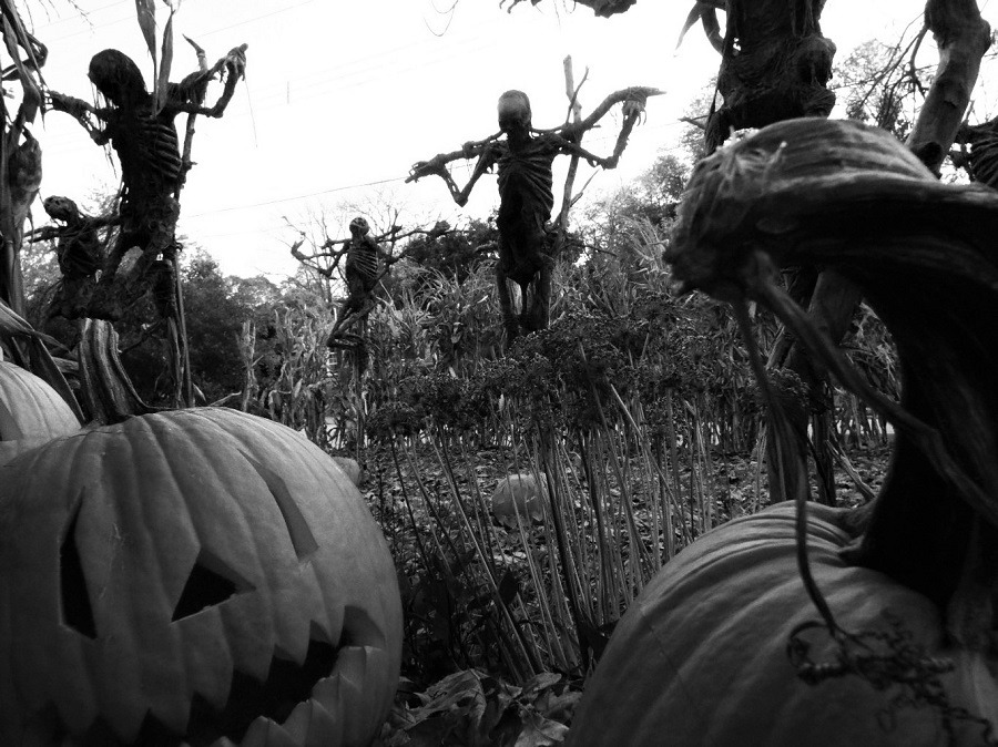 Twisted Nightmares
