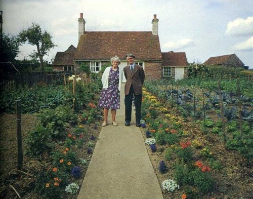killedmycatatemytailor:
“ rabbittongue:
“ johnxmangano:
“ thinkofmewhenuforgetyourseatbelt:
“ This elderly couple took a photo in their small garden outside their house for every season of the year, come rain, snow or shine.
They stood in the same...