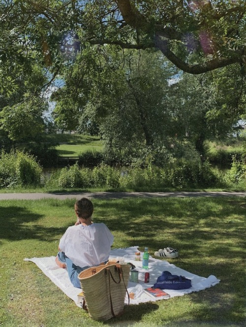 warmhealer: I spent the weekend in Cheltenham visiting C (@sparrowspine). We mostly ate, and read, a