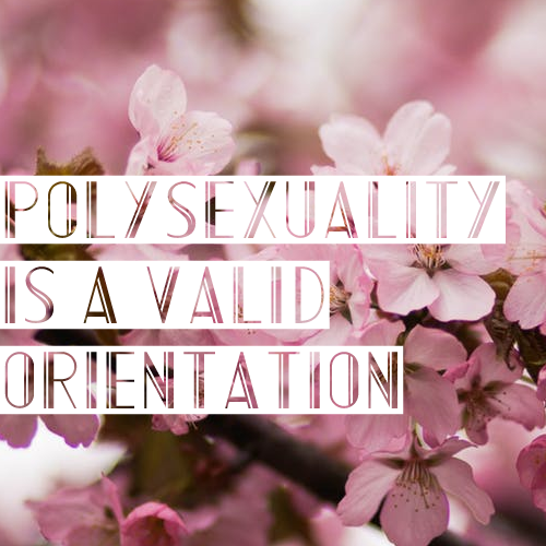 nonbinarypastels: [Image Description: A picture of pink cherry blossoms with text that reads “