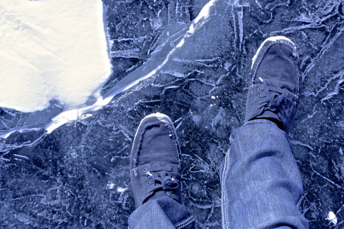 Frozen Lake StudyKriley Pond, Golden Gate Park, Colorado