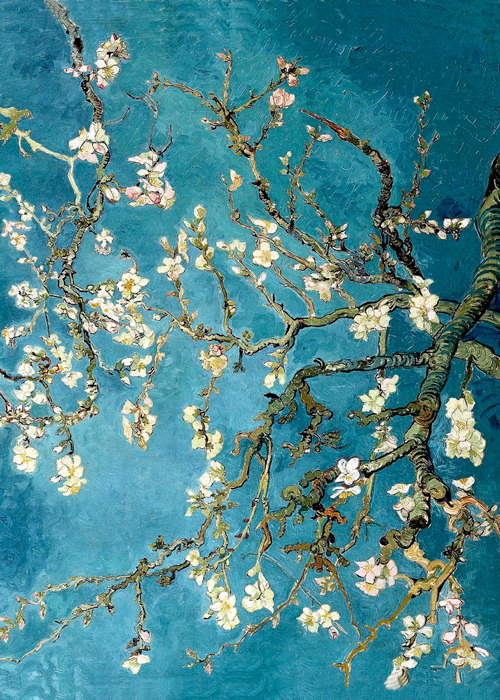  Vincent Van Gogh — Blossoming Almond Tree 