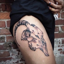 fuckyeahtattoos:  Goat skull by Alena Chun