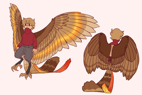 I Finally Did My Own Grian Design And Ive Realized My Wings Are Inconsistent Everytime I Draw Them.