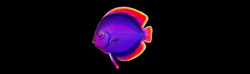 Promt:Discus Base Game
