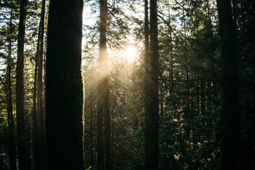 christophermfowler:Fraser Valley, BC | March 2019