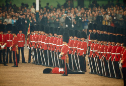 gridbugs:  natgeofound:  Irish Guards remain at attention after one guardsman faints in London, England, June 1966.Photograph by James P. Blair, National Geographic  Something about this photo is hySTERICAL TO ME 
