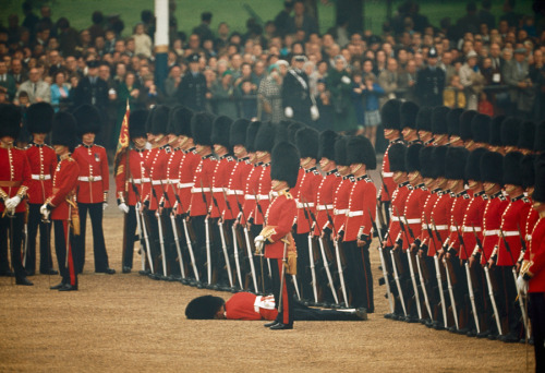 thetrekkiehasthephonebox: gridbugs: natgeofound: Irish Guards remain at attention after one guardsma