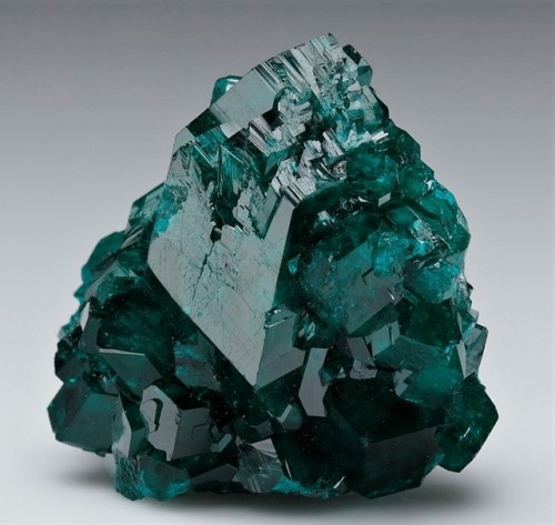 ladytabularasa:bijoux-et-mineraux:Dioptase - Tsumeb Mine, Tsumeb, Otjikoto Region, Namibia@rosespiri