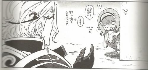 gangstapantsu: snipergys: Fire Emblem Fates Royal Family Anthology From a chapter in which Xander tr