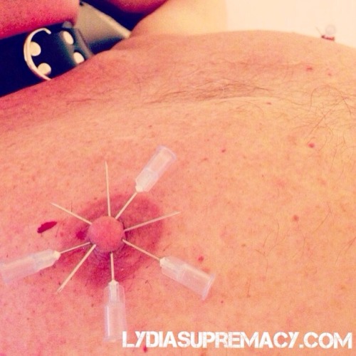 lydiasupremacy: My human pin cushion came back again. 