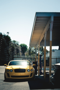 classyhustler:  Bentley | photographer