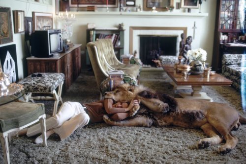 egocollatisviribus:  These photographs show Tippi Hedren — star of Alfred Hitchcock’s The Birds — with her husband, director Noel Marshall, and her daughter, actress Melanie Griffith, and their lion, Neil.  Hedren founded Roar Foundation and Shambala