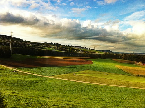 julythetavernwench:  Train in Switzerland. 