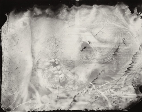 bloodyminx:  malicedesire:  Sally Mann Selected Works: Body Farm   the tone of death makes me wonder. 