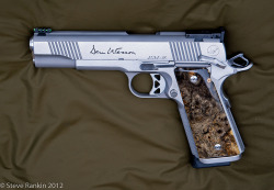 badger-actual:  Dan Wesson Pointman 9, 9mm