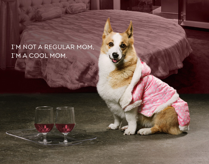 Mean Girls gets recreated by dogs because honestly why not.
So fetch.