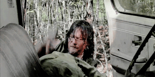 the reedus