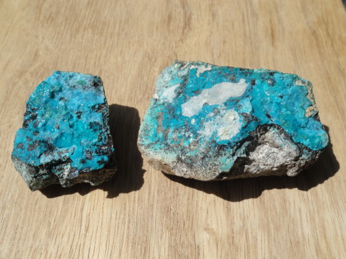 Chrysocolla (Cu,Al)2H2Si2O5(OH)4·nH2O - 09.ED.20 (Strunz)(from Atacama (1), Sagasca Mine (2), Palqui