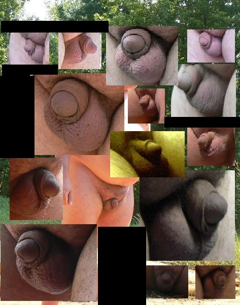 Porn Pics bigmensmallpenis:  A collage of a fatboy’s