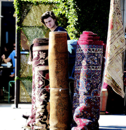 mishasminions:STEVE HARRINGTON LOOKING AT CARPETS IS THE FUNNIEST THING TO ME RIGHT NOW