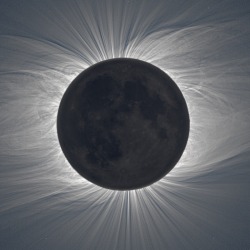 odditiesoflife:  Total Solar Eclipse These