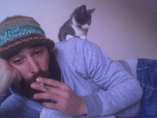 vie-enr0se:  awww :3   :33