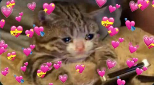 Awwww Shang Tsung My Love Jsjsjs