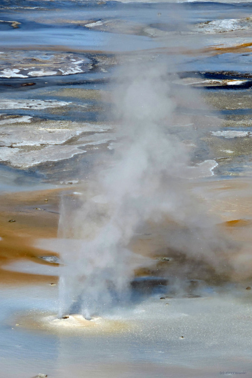 Geysers erupting in an opalescent thermal area, Norris Geyser Basin, Yellowstone National Parkby riv