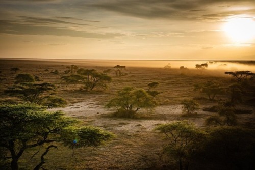 Tanzania 2018
Serengeti National Park
#tanzania #safari #serengeti #balloon #landscape #landscapephotography #travel #travelphotography #sonya7rii (à Serengeti National Park,...