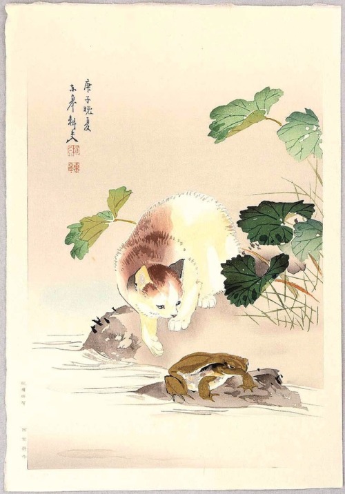 A Cat Teasing A Bullfrog, Oide Toko (1841 - 1905)